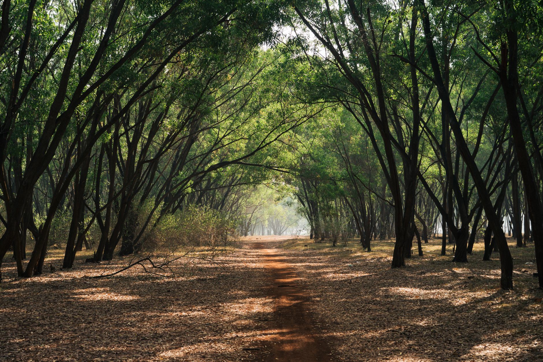 APPSC Forest Recruitment: Best Proven Opportunities for 2026