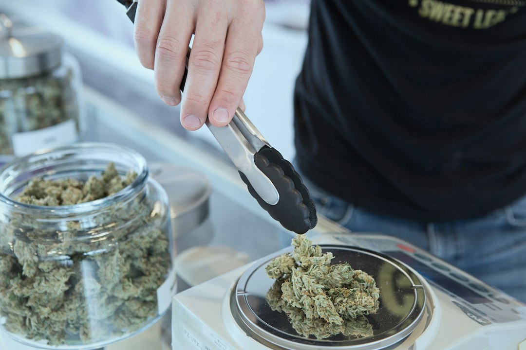 A Practical Look at Cannabis Products Available in Ontario